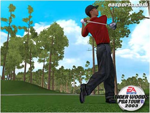 Tiger Woods 2012 Mac Download